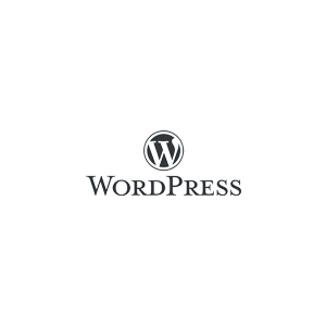 Content Management System WordPress